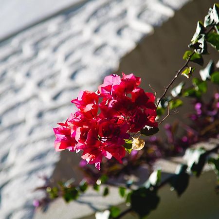 ホテル カリア プリンセス ボドルム エクステリア 写真